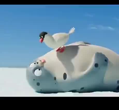 Funny Seagull and Seal Cartoons | Hilarious Animal Sounds and Comic Moments