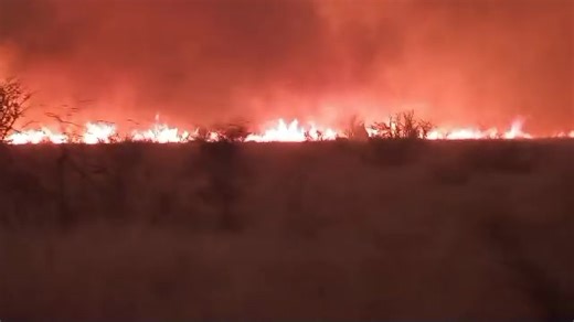 Etosha wildfire rages despite swift response Despite rapid intervention by park staff, the Namibia Defence Force, and neighbouring communities, the wildfire continued to burn in Etosha National Park this week. The environment ministry said today that while all available resources were mobilised to contain the blaze, strong winds and extremely dry conditions allowed the fire to spread quickly.” The ministry highlighted the ongoing threat to wildlife, boreholes, and park infrastructure, stressing 