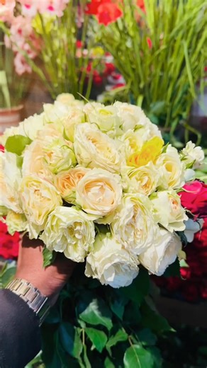 Rakib!!🇧🇩 on Instagram: "Heaven!! 💐💘"