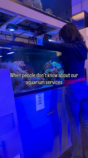 💦 POV: You faint when you find out we could’ve done it all for you! 😂🐠At Big Fish Aquarium, we handle everything — from custom aquarium setups to professional maintenance and cleaning. So you can just sit back, relax, and enjoy your underwater world. 🌊✨.#BigFishAquarium #AquariumSetup #FishTankGoals #AquariumMaintenance #FishTankCleaning #AquascapeLife #ReefTank #AquariumLove #FunnyReel | Big Fish Aquarium