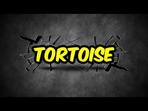 TORTOISE PRONUNCIATION | BRITISH VS AMERICAN ENGLISH PRONUNCIATION