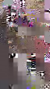 19K views · 69 reactions | This dog named Crypto, who loves to spend time in the backyard stall, was seen digging a hole. He playfully dug the ground and intermittently ate something while doing it. | Jukin Copyright Management | Facebook