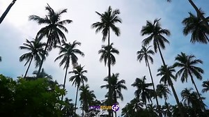 Escape from the hustle and bustle of Manila and enjoy a relaxing and restful respite at Hidden Valley Springs Resort. Take in the natural beauty and lush vegetation of this tropical region. Aside from swimming, another activity is hiking/strolling in the surrounding rainforest. Be one with nature and savour its peace and serenity. #hiddenvalleysprings #ctphtour | CTPH TOUR