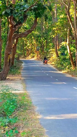 @sk_sumon_bike_lover_ on Instagram: "🥰KTM RC8 modify❤️👍"