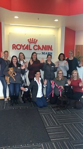 Happy National Vet Tech Week! Thank you to all of the vet techs who work so hard to keep our four-legged friends happy and healthy! | Royal Canin