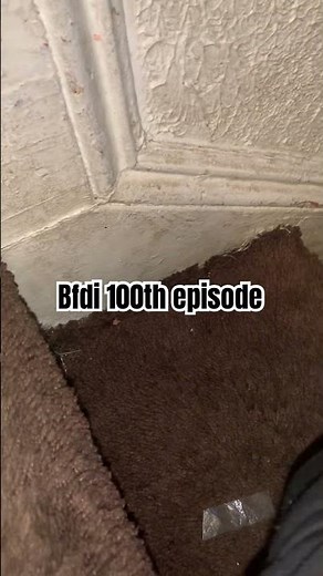 Bfdi 100 episode today:)