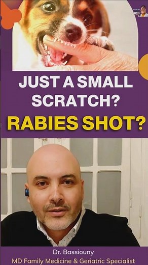 Small Dog Scratch? Do You Really Need a Rabies Shot (Full Answer)
