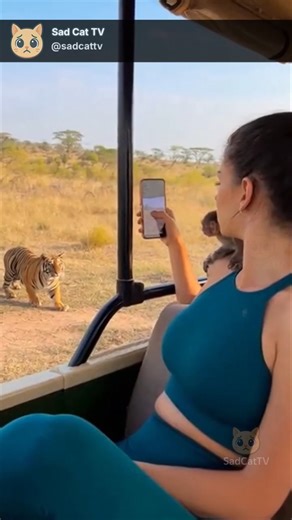 Tiger Suddenly Snatches Baby Monkey Off Woman’s Shoulder During Safari! 😱