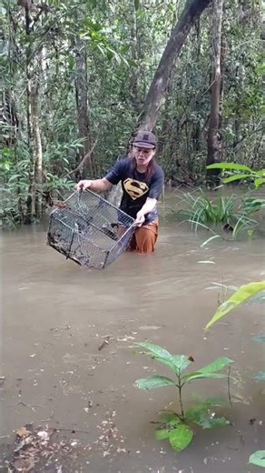 bubu nya di luar konsep dapat nya selain ular dapat tikus juga #beranda #bubu #ular