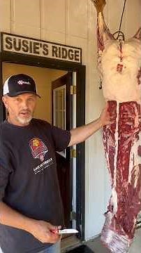 Easy gutless method to secure deer tenderloins! 🔪 #venison #deermeat #butchering