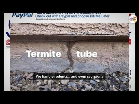 Maricopa AZ Pest Control | Semper Fi Exterminator Services: Rodent, Ant, Roach, Scorpion