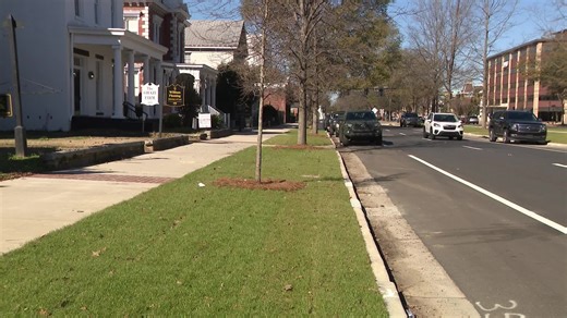 Strike teams proposed for Augusta new vegetation maintenance plan