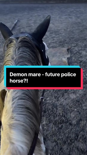 Demon Mare: The Worst Police Horse Ever?