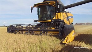 1.6K views · 30 reactions |  Dopo la presentazione on line delle nuovissime CH 7.70 Crossover harvesting New Holland Agriculture, siamo andati a Linarolo PV per vederle al lavoro!   | AgroNotizie | Facebook