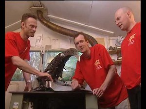 Robot Wars: Ultimate Warrior: Razer