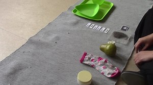 Montessori Homophones lesson