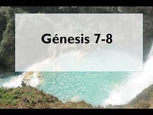 La Biblia en un año/ Génesis 7-8 (Audio, Letra) Día 4