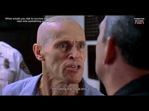 Animal Factory (2000): Can You Survive Prison’s Brutal Reality? |Prison Drama Movie Trailers