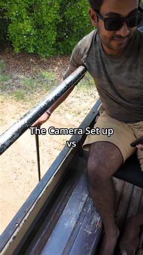 Mastering Wildlife Photography Techniques and Shots