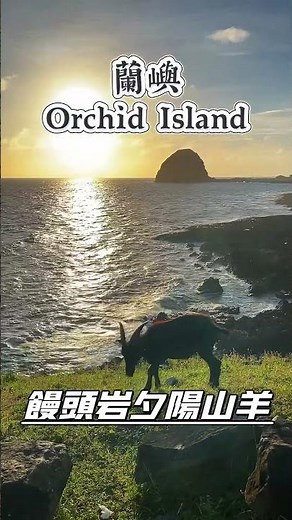 蘭嶼！就是那麼美麗！步調就是那麼慵懶！什麼事情都不做也很舒服！ #蘭嶼 #蘭嶼景點 #台東蘭嶼 #台東景點 #蘭嶼旅遊