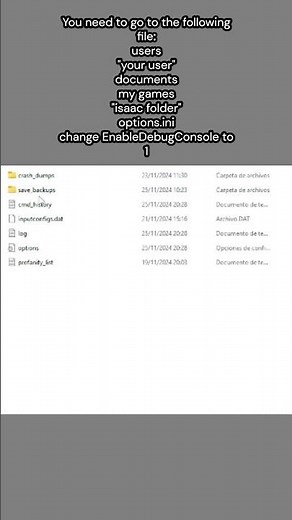 How to enable debug console in Tboi #isaac #games #repentance #indiegame #gameplay #gaming #tboi