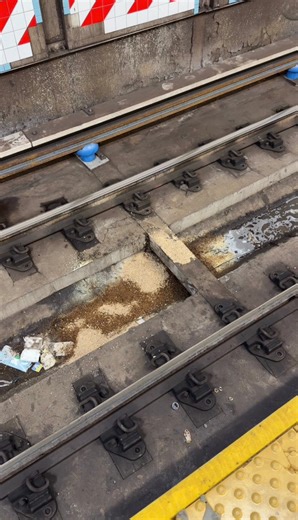422K views · 1.1K reactions | Sadly, someone got hit by a train today at Grand Army Plaza. He was pulled from under the train and taken to the hospital. No words on his condition. Please stay alert and always stand behind the yellow line at all times. #NYCSubway #NYC #NewYorkCity | NYC Subway Life | Facebook