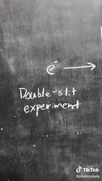 Exploring the Intriguing Concept of Schrödinger's Cat