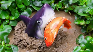 1M views · 9.3K reactions | Mud Survival Battle - Baby Shark Hunts Koi Fish, Eels - Stop Motion Fish | Kids Toy TV | Facebook