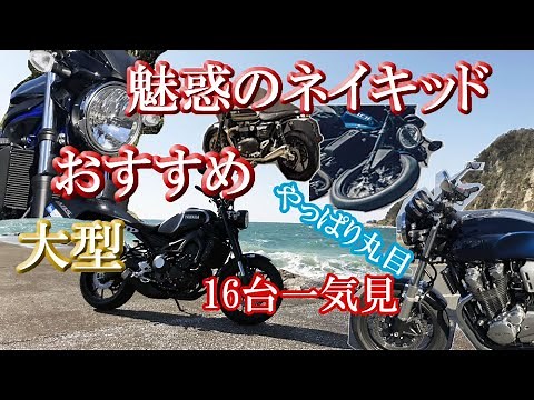 After all [Naked] 16 recommended naked large bikes by Marume