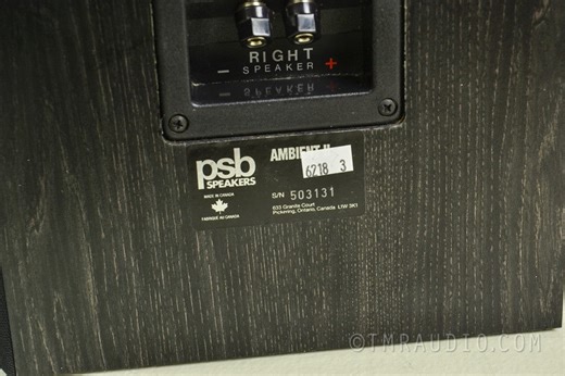 PSB Ambient ii Surround Speakers