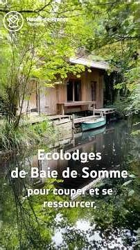 Les Ecolodges de Baie de Somme : reconnexion à soi, à la nature...