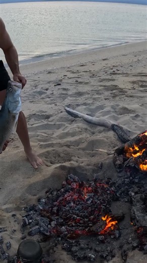 “We’ve packed fishing, hunting, camping gear and a whole lot of enthusiasm.” A couple of weeks in the top end is always a good idea, especially in ya mates boat! 🏝️🔥 Mid week ep live right now on B2B Adventures channel 👈 | Back 2 Basics Adventures