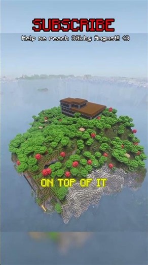 The *RAREST* Minecraft ISLAND Seed!!!