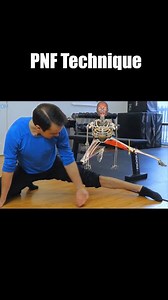 Muscle and Motion on Instagram: "What is the PNF system & stretching technique? Proprioceptive neuromuscular facilitation (PNF) also known as resistance stretching, was first developed by Margaret Knott PT, and Herman Kabat MD in the 1940s to treat neurological dysfunctions. It is an effective way of using reflexes to assist muscular relaxation. Stretching using these principles is only one part of a system used by physical therapists to help muscular strengthening, stability, neuromuscular cont