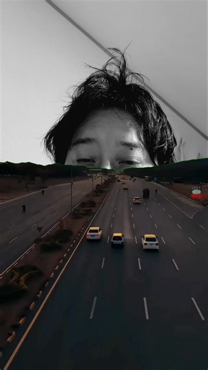 大きなカラスが望めます #布団ちゃん #布団ちゃんmeme