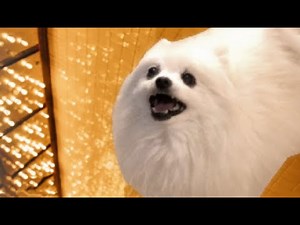 TheBorknd - Blinding Lights