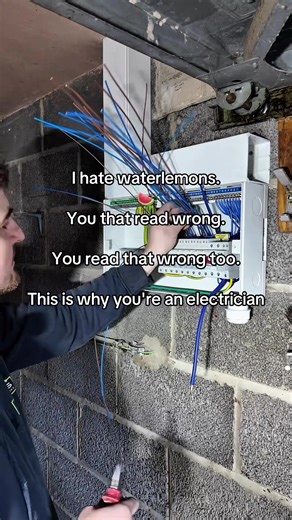 Why Electricians Might Hate Watermelons
