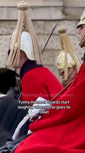 Guard’s REACTION is priceless! | The Sovereigns Protectors