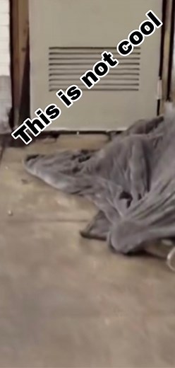 5.4K views · 25 reactions | Just when you th!nk you’ve seen it all! | Viral random videos | Facebook