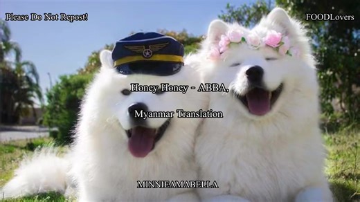 Honey Honey - ABBA Song Translation in Myanmar