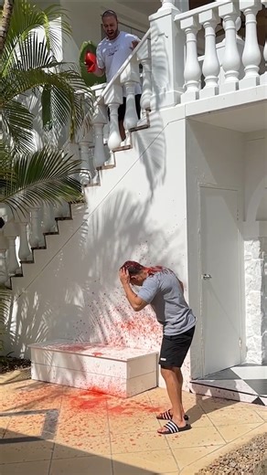 6.1M views · 143K reactions | Funny Compilation! 2  #fblifestyle | Shammi | Facebook