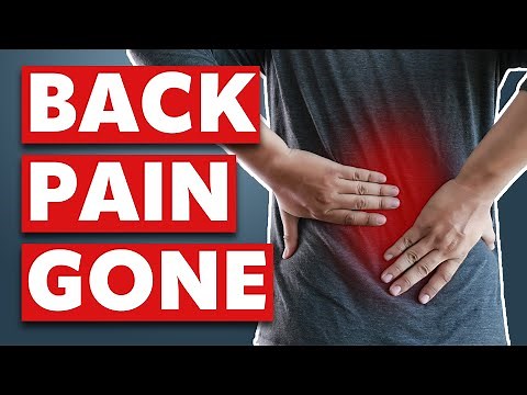 Watch these 93 minutes if you want to overcome your Lower Back Pain (compilation)