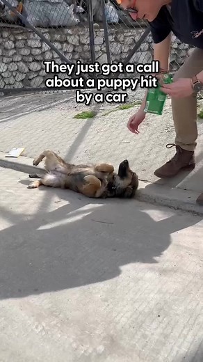 Watch this rescue learn