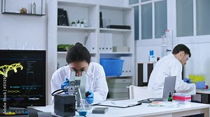 Genetic lab scientists working on research, examining sample under microscope