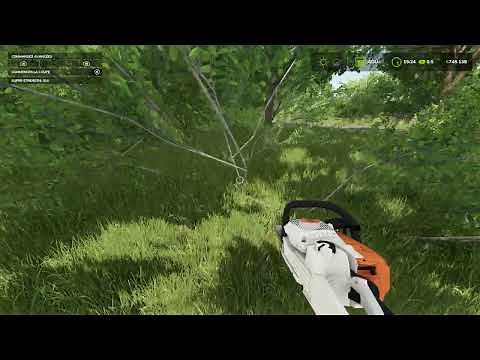 FS 25 : Tuto pour supprimer un arbre directement (mod Lumberjack)