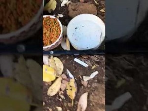 METH HOUSE TOUR WARNING