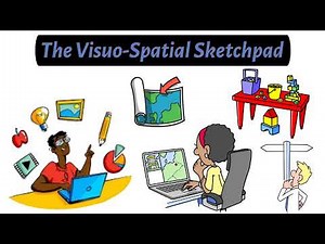 The Working Memory Model | AQA A-Level Psychology