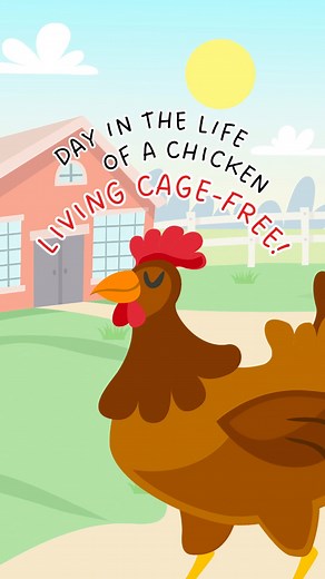 For a hen to live healthily and happily every day, they need to be housed the cage-free way! 🐔 When hens live free from tight, crowded cages, they can comfortably express their natural behaviors—from enjoying some exercise, to playing and laying with ease! ❤️ #ChooseBetter #ChooseCageFree | Cage-Free, Go Cruel Free