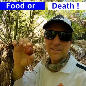 Going Native - Finding bush foods | Andy's Fishing Wild Cook on Youtube