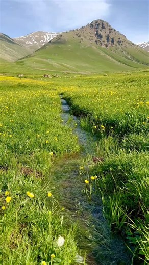 AARZO VILLAGE LIFE 5 (@aarzovilleglife5)’s videos with original village sound from - user99777800588